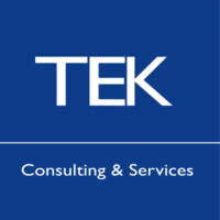 tek-consulting-550x550.png